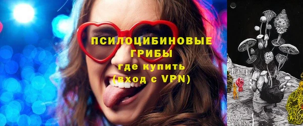 гидра Карталы