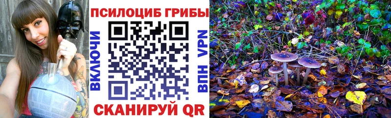 Купить  Нытва  Галлюциногенные грибы GOLDEN TEACHER 